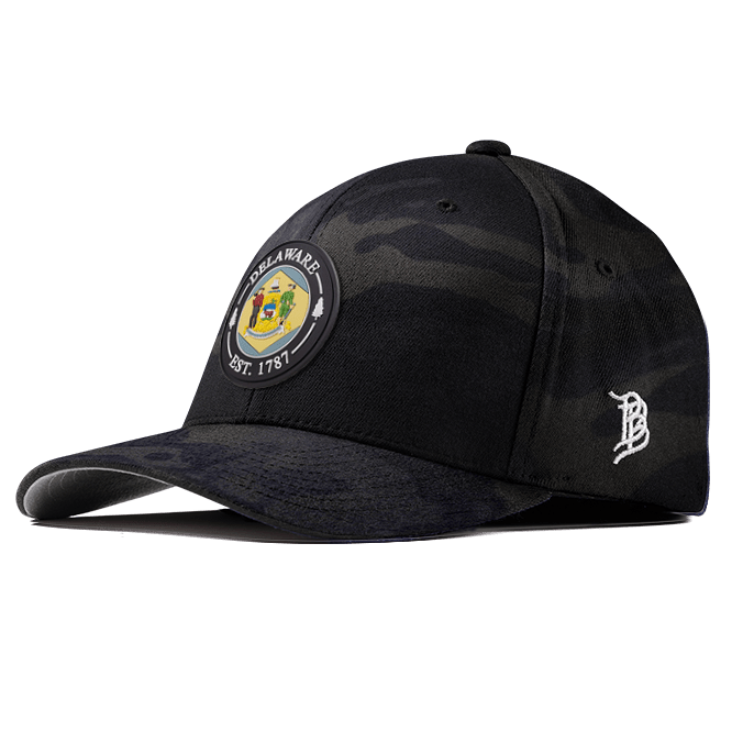 Delaware Compass Flexfit Fitted