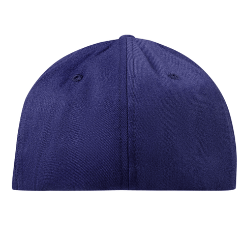 New Mexico Compass Flexfit Fitted Back Navy